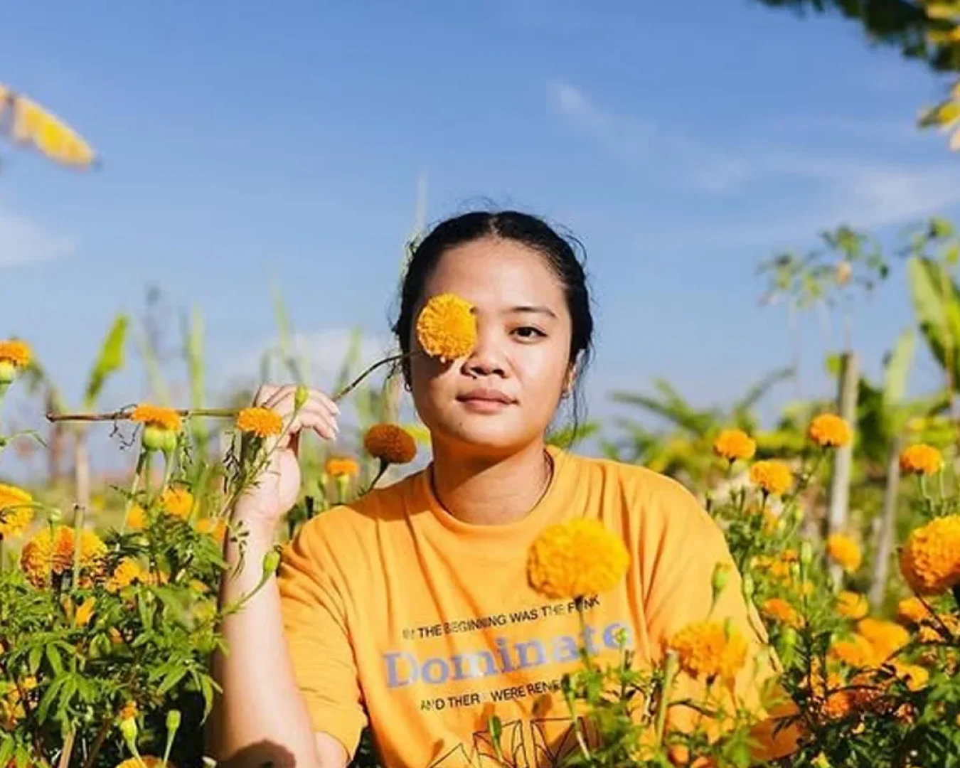 DanceSignal dita bali DanceSignal dita bali